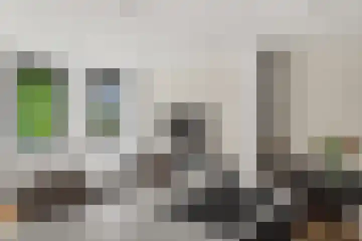 Gouwestraat 11 D Alphen aan den Rijn thumbnail 33