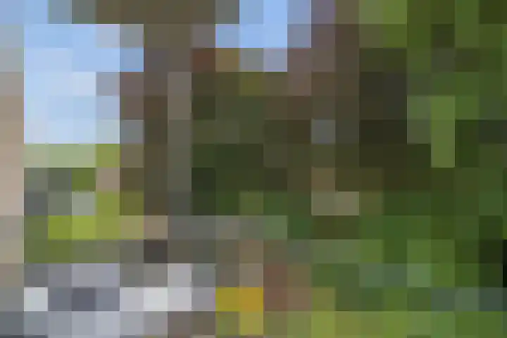 Gouwestraat 11 D Alphen aan den Rijn thumbnail 36