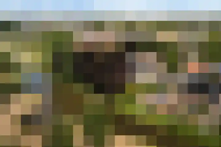 Gouwestraat 11 D Alphen aan den Rijn thumbnail 6