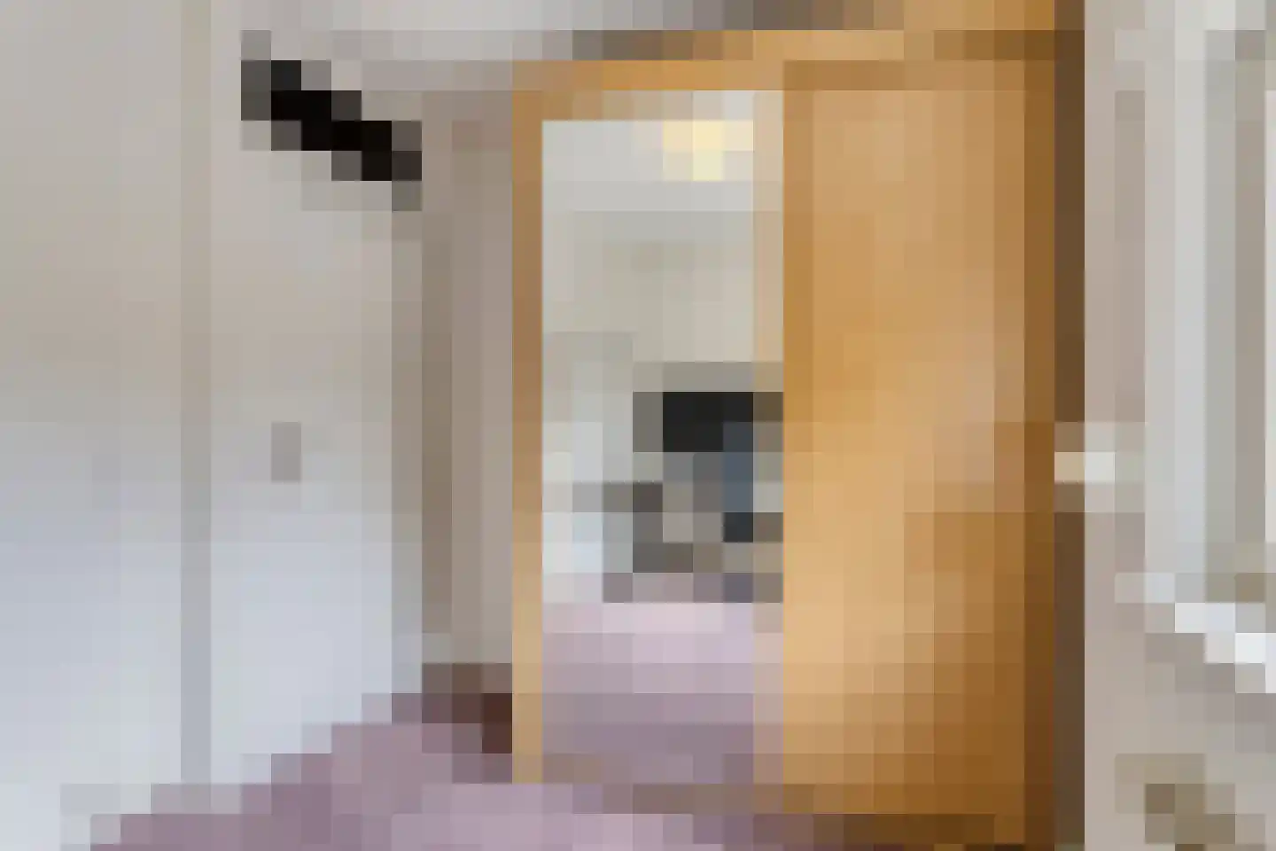 Gouwestraat 12 Terneuzen thumbnail 22