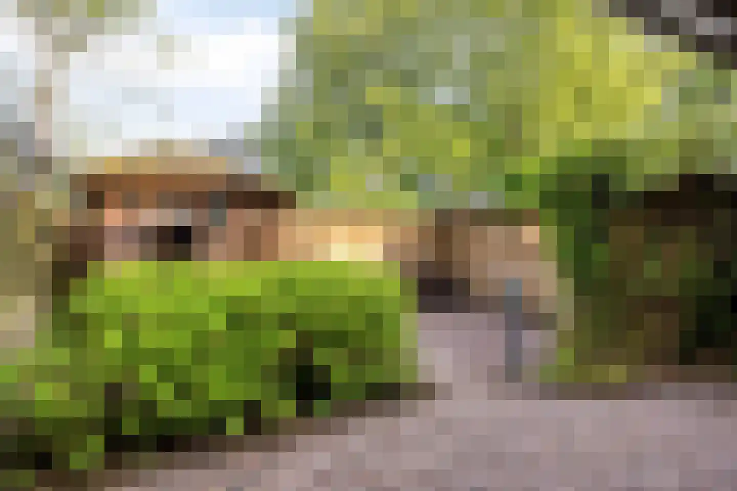 Gouwestraat 12 Terneuzen thumbnail 4