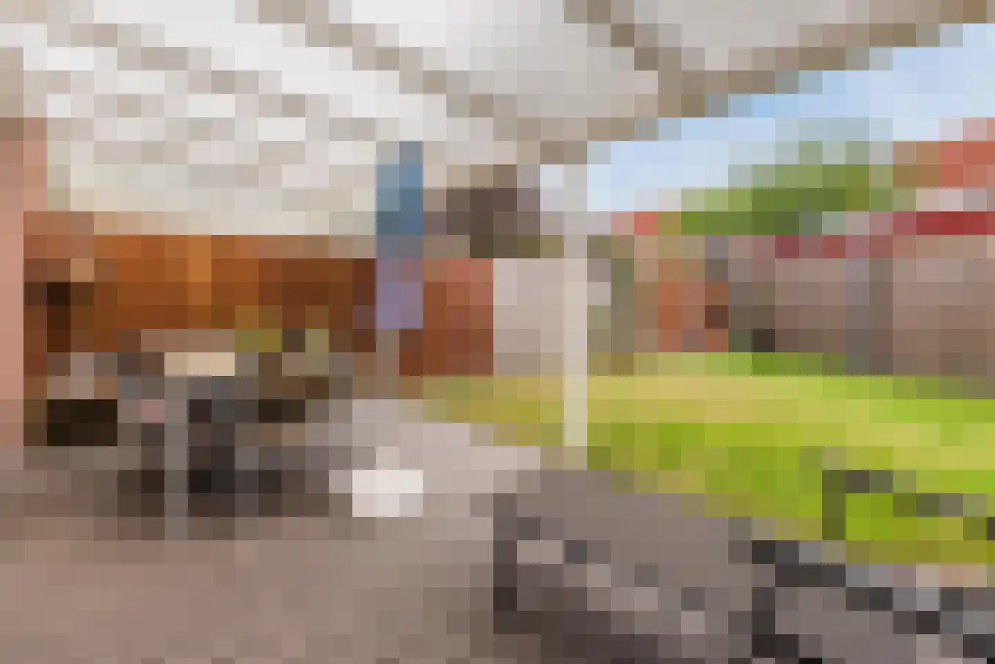 Gouwestraat 13 Apeldoorn thumbnail 42