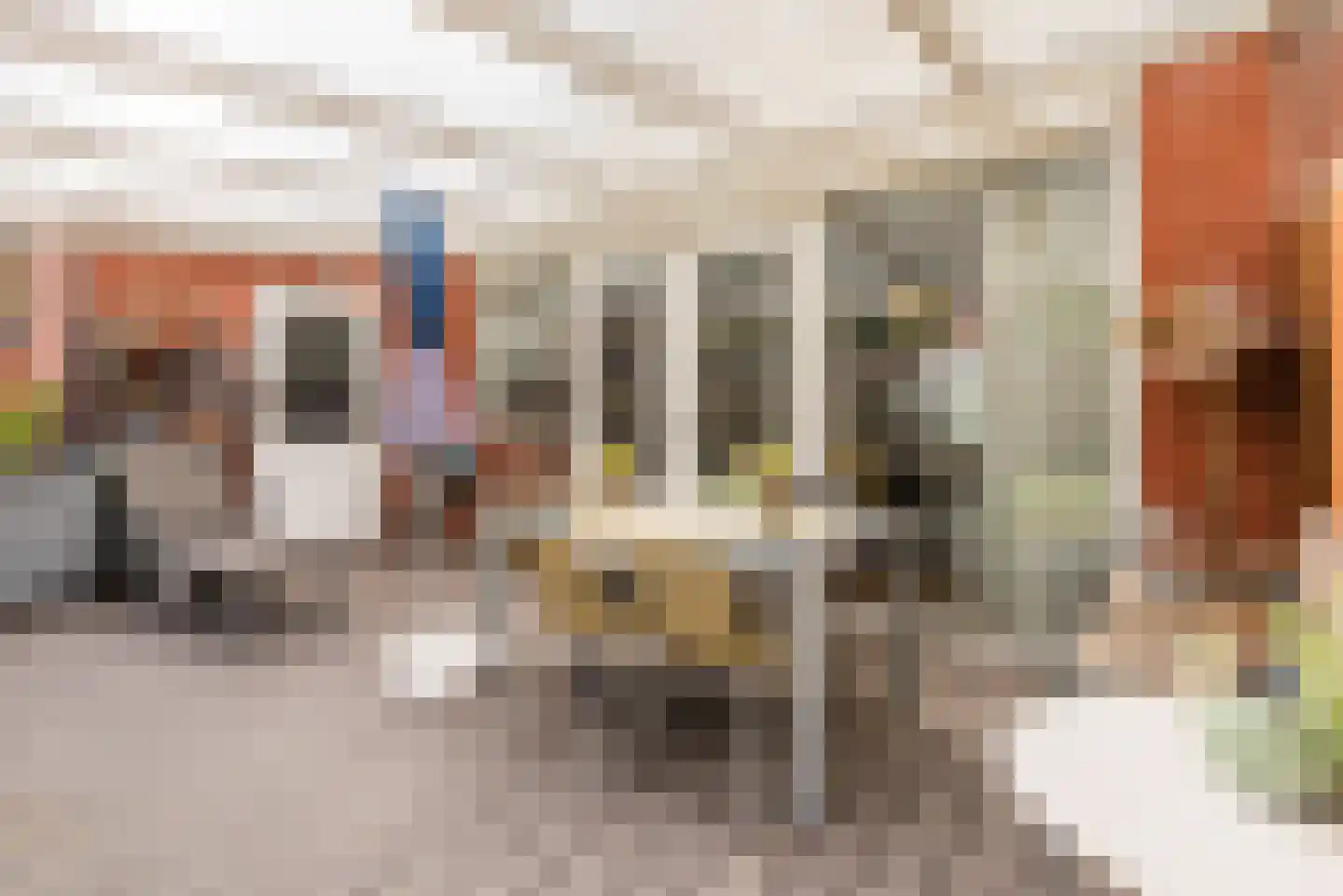 Gouwestraat 13 Apeldoorn thumbnail 44