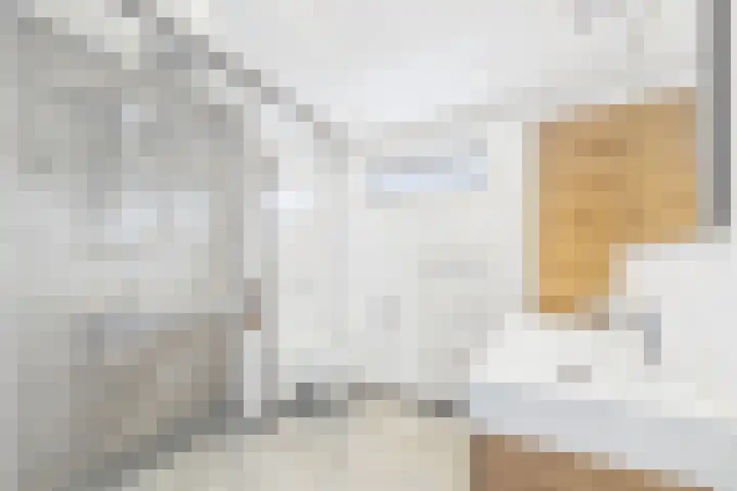 Gouwestraat 27 Terneuzen thumbnail 25