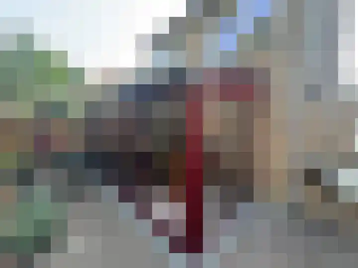 Gouwestraat 28 Terneuzen thumbnail 21