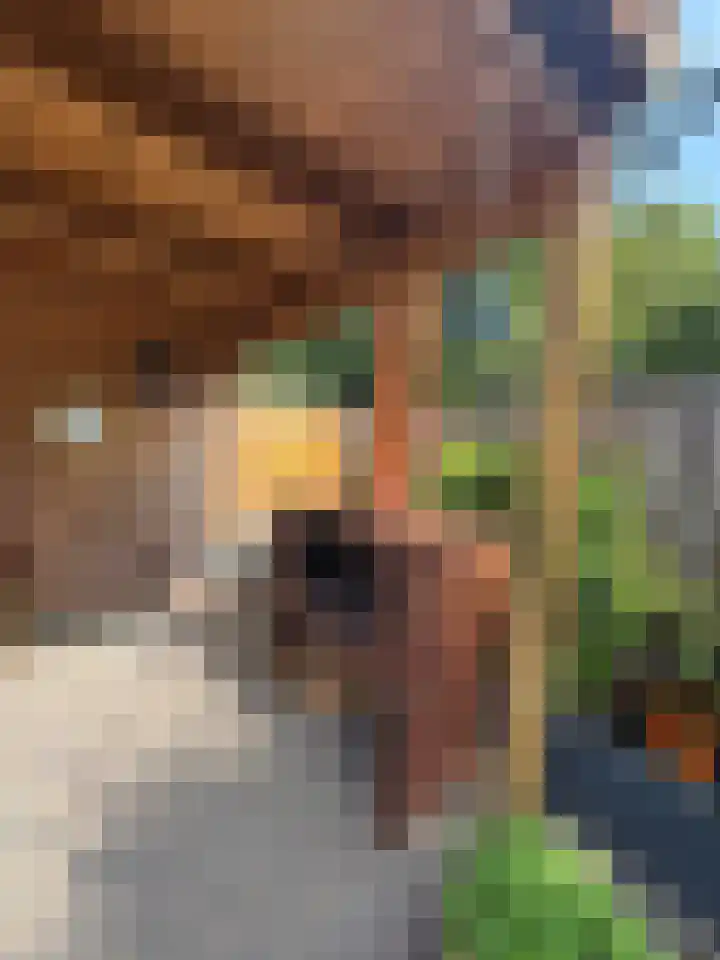 Gouwestraat 28 Terneuzen thumbnail 24