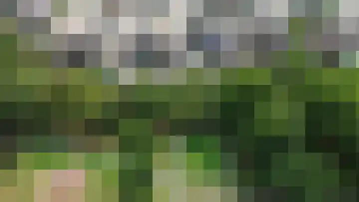 Gouwestraat 28 Terneuzen thumbnail 34