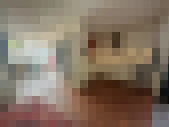 Gouwestraat 28 Terneuzen thumbnail 8