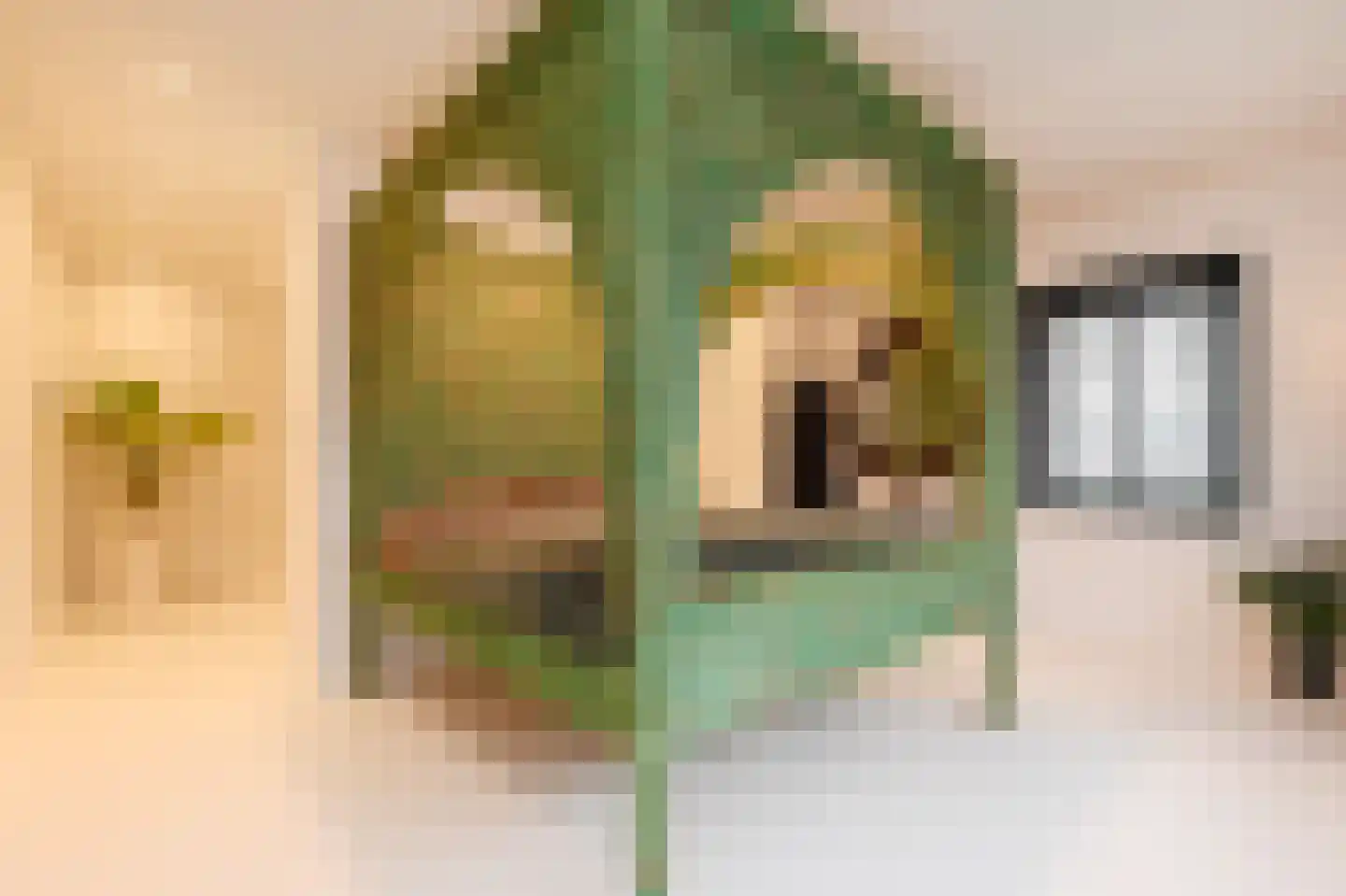 Gouwestraat 3 A Boskoop thumbnail 12