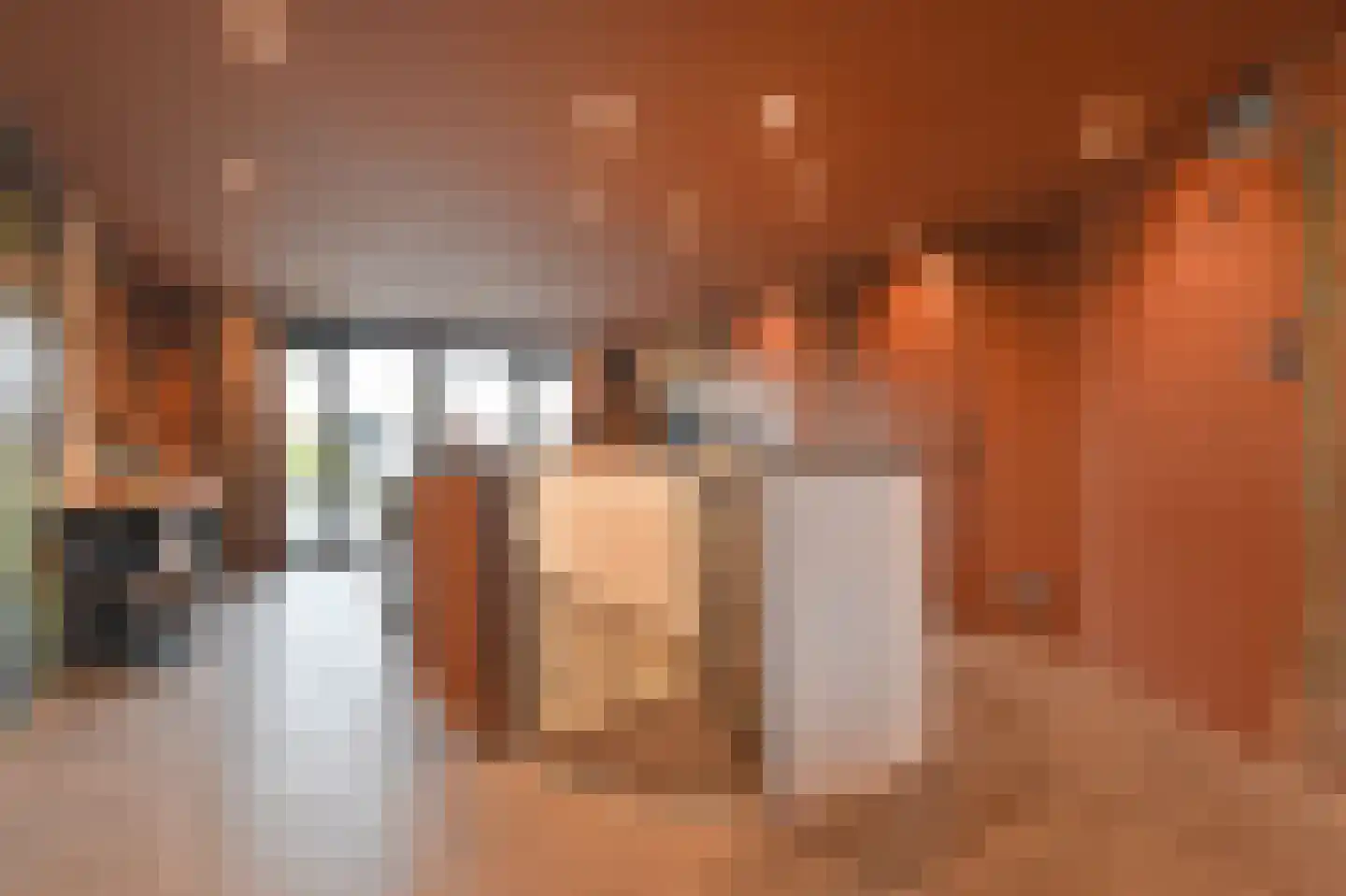 Gouwestraat 3 A Boskoop thumbnail 14