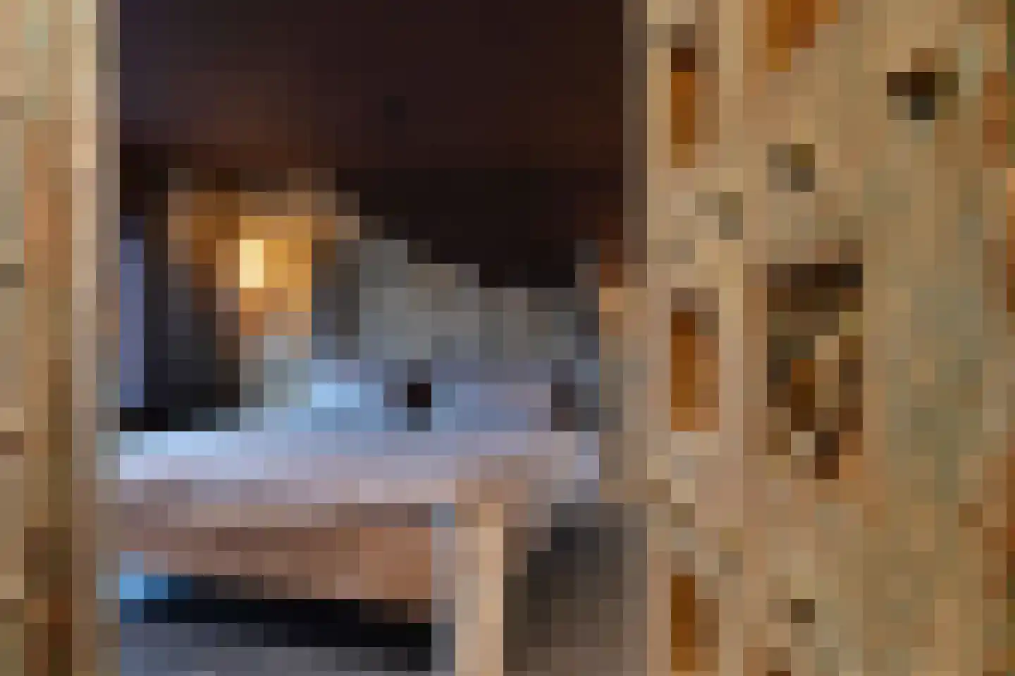 Gouwestraat 3 A Boskoop thumbnail 20