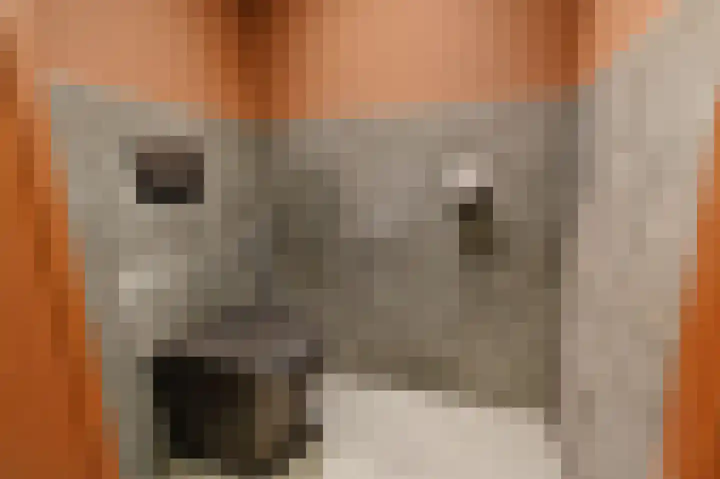 Gouwestraat 3 A Boskoop thumbnail 21