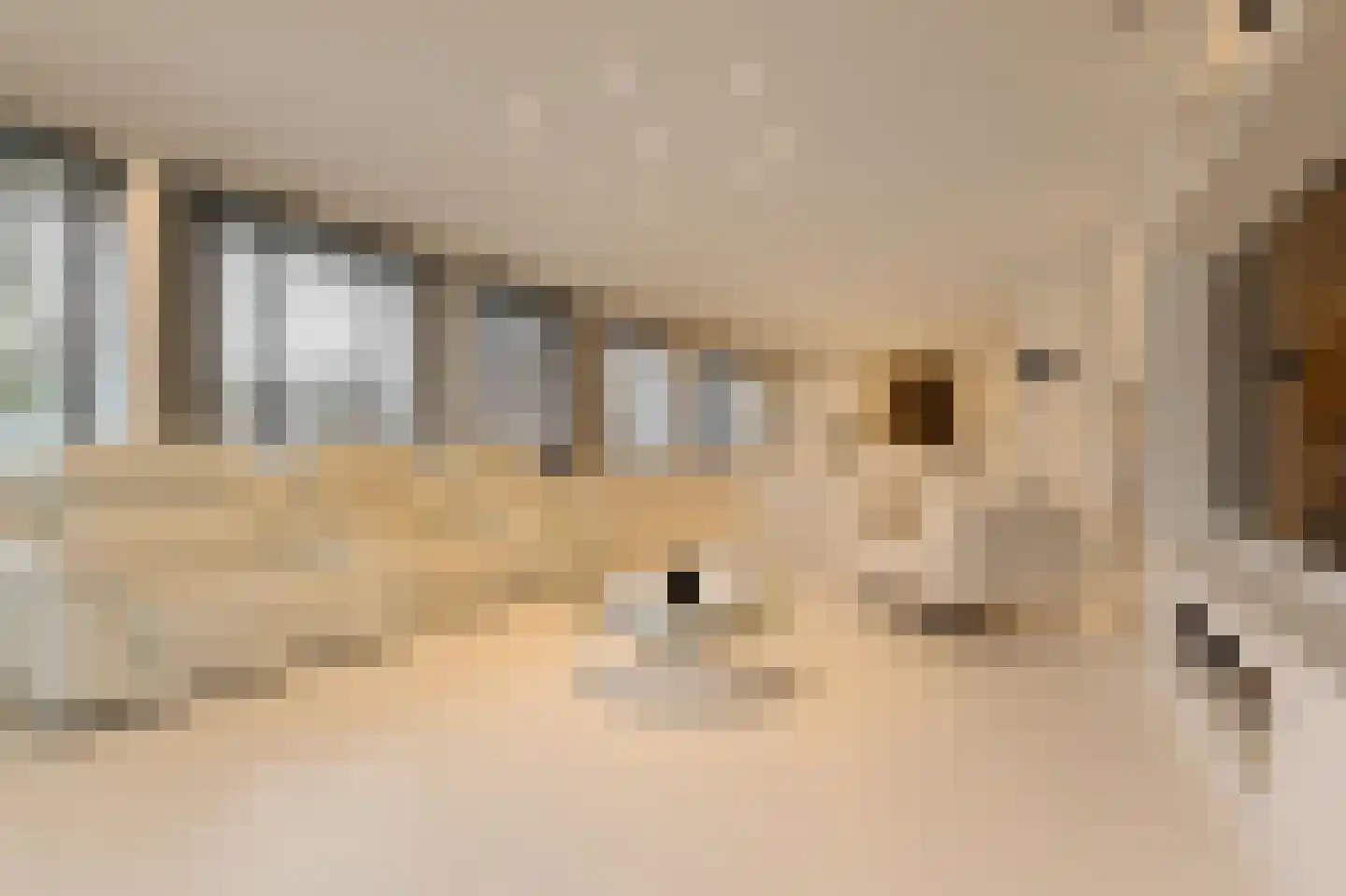 Gouwestraat 3 A Boskoop thumbnail 4