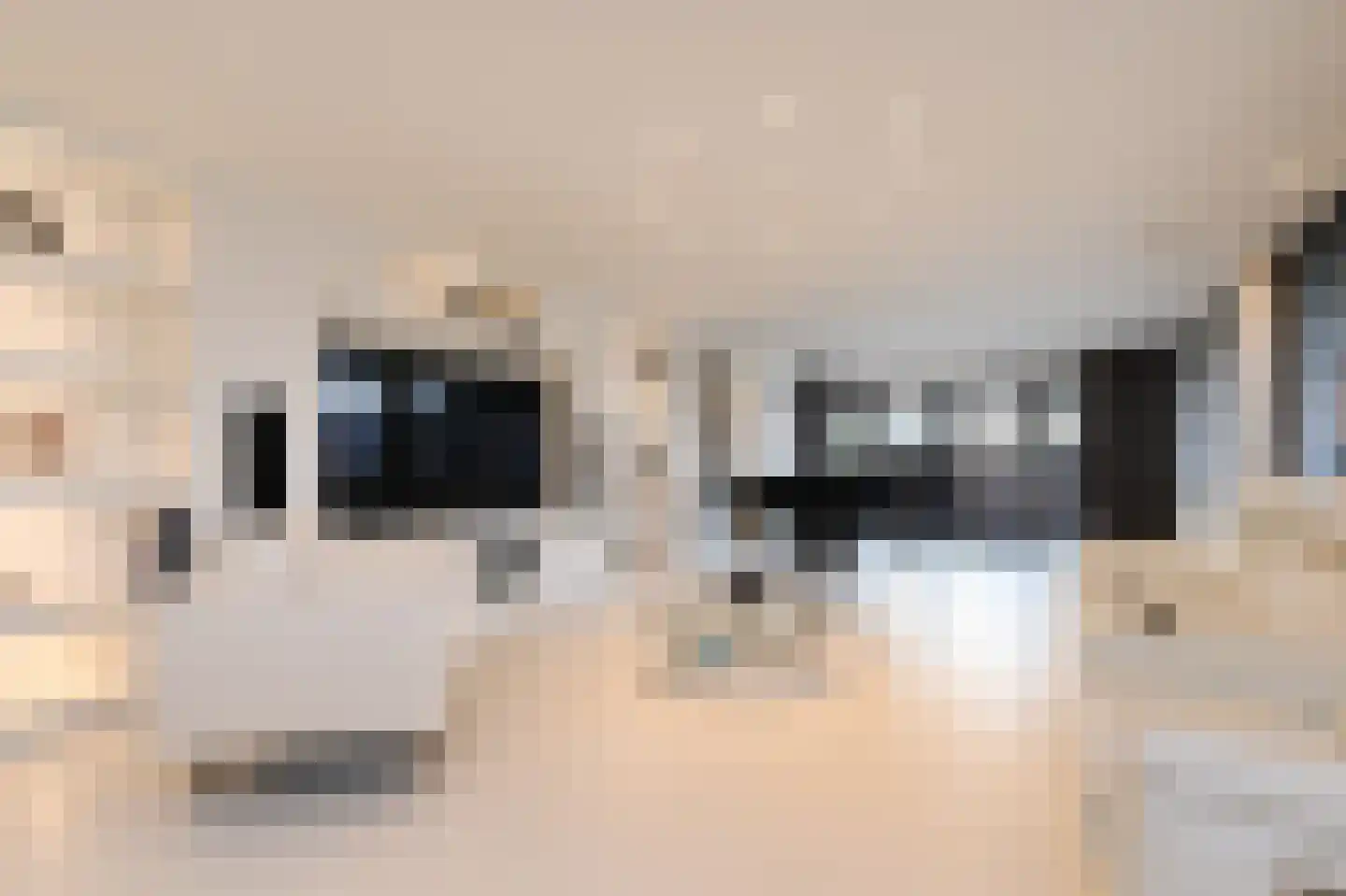 Gouwestraat 3 A Boskoop thumbnail 6