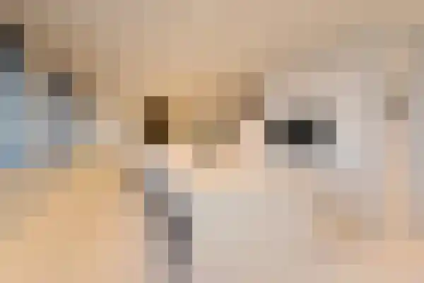 Gouwestraat 3 A Boskoop thumbnail 6