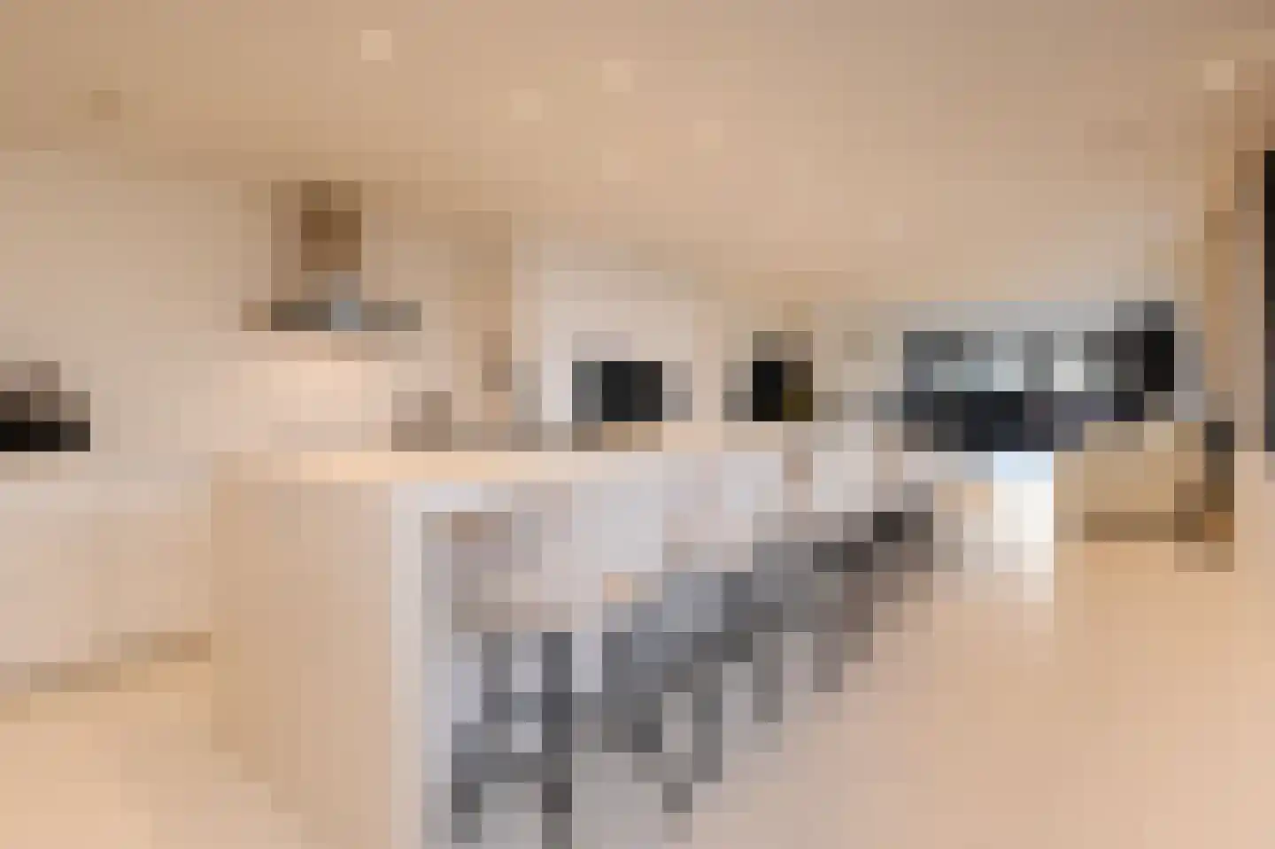 Gouwestraat 3 A Boskoop thumbnail 7