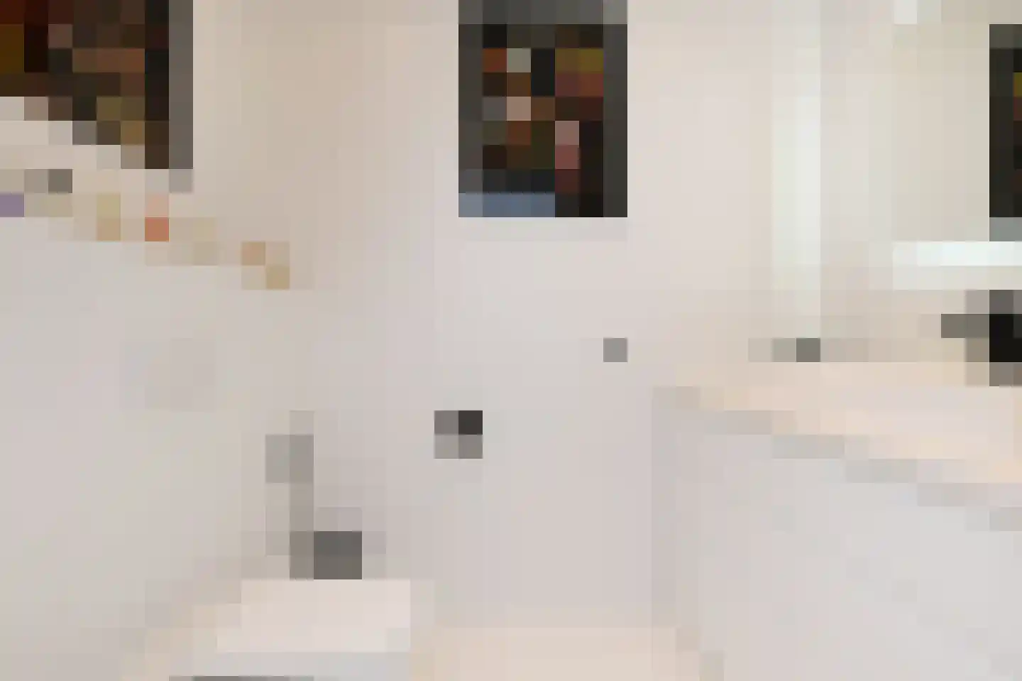 Gouwestraat 3 A Boskoop thumbnail 9