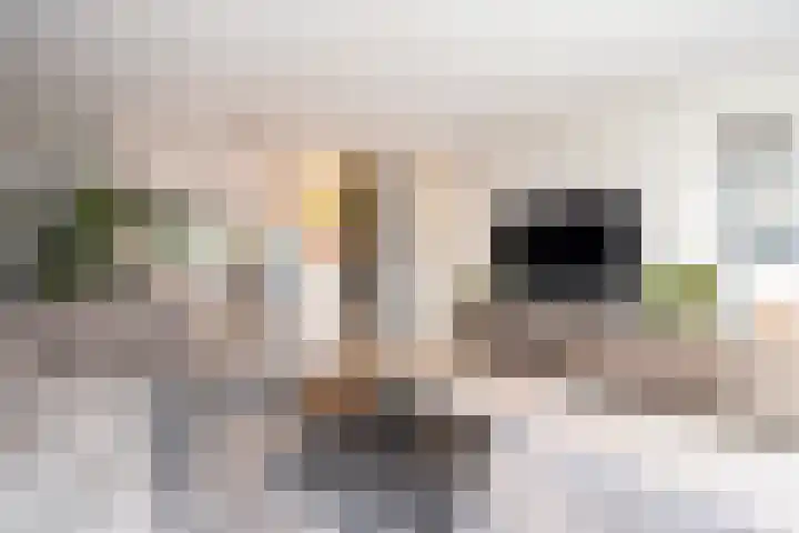 Gouwestraat 31 Berkel en Rodenrijs thumbnail 12