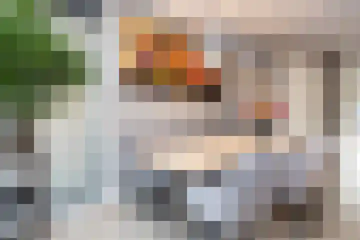 Gouwestraat 31 Berkel en Rodenrijs thumbnail 16