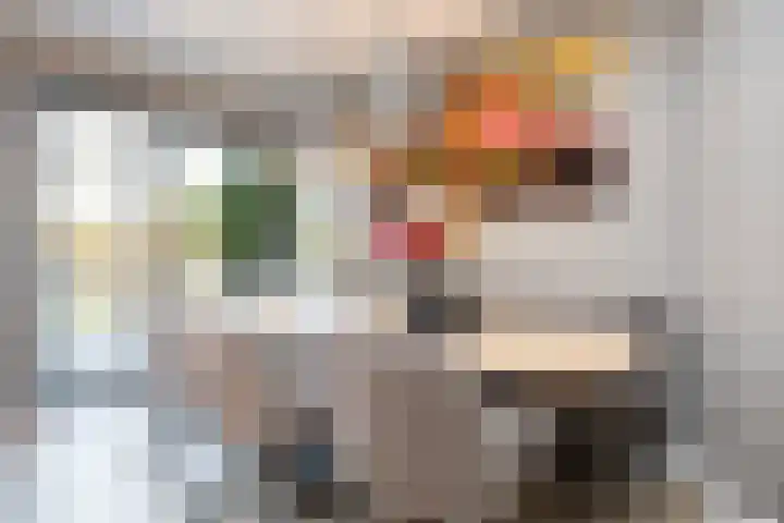 Gouwestraat 31 Berkel en Rodenrijs thumbnail 17