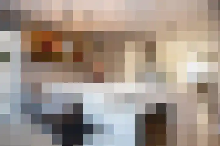 Gouwestraat 31 Berkel en Rodenrijs thumbnail 22
