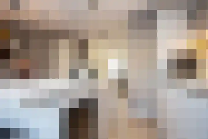 Gouwestraat 31 Berkel en Rodenrijs thumbnail 23