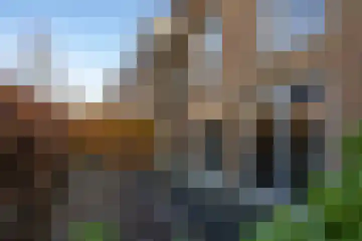 Gouwestraat 31 Berkel en Rodenrijs thumbnail 4