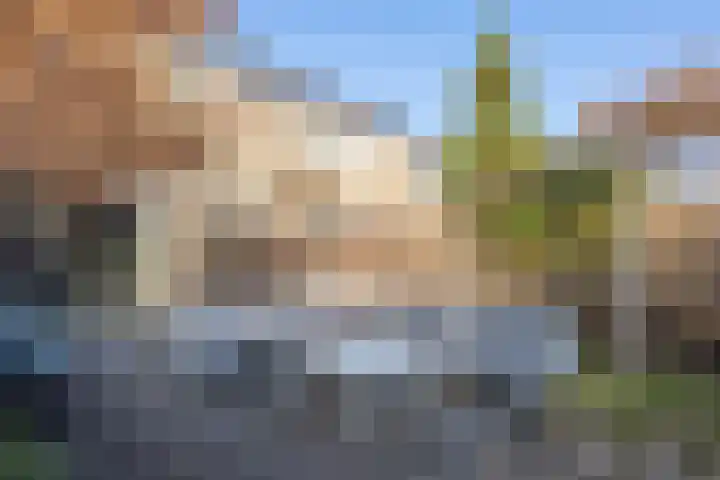 Gouwestraat 31 Berkel en Rodenrijs thumbnail 47