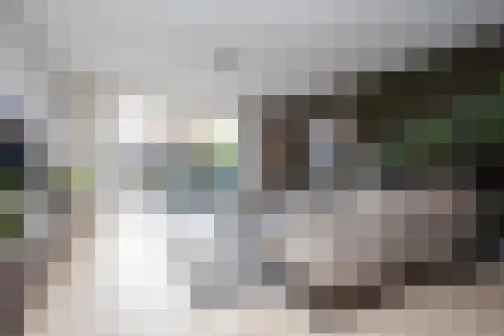 Gouwestraat 31 Berkel en Rodenrijs thumbnail 9