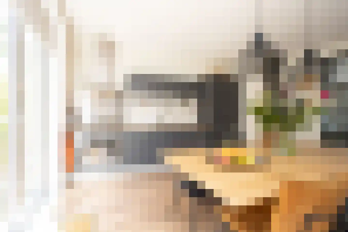 Gouwestraat 36 Berkel en Rodenrijs thumbnail 18