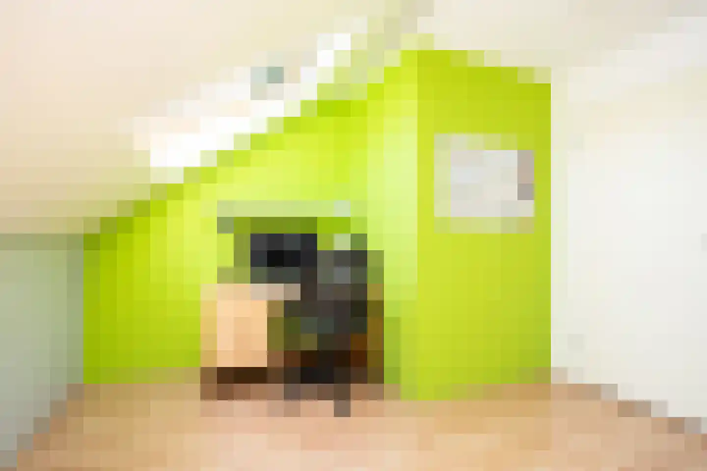 Gouwestraat 36 Berkel en Rodenrijs thumbnail 37