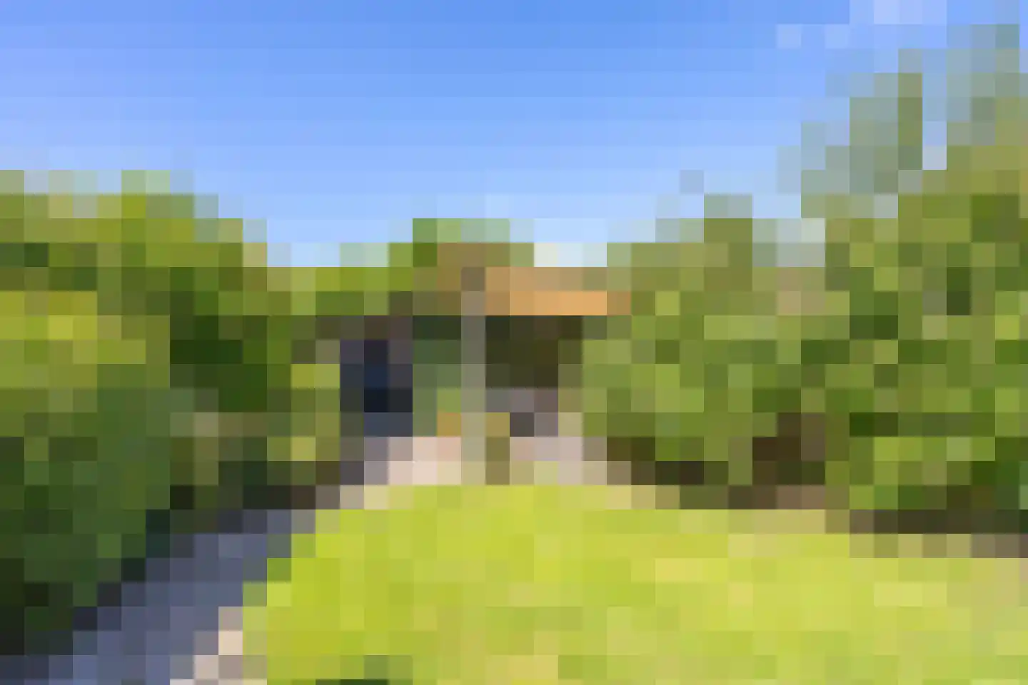 Gouwestraat 36 Berkel en Rodenrijs thumbnail 39