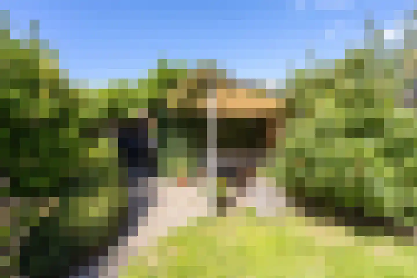 Gouwestraat 36 Berkel en Rodenrijs thumbnail 40