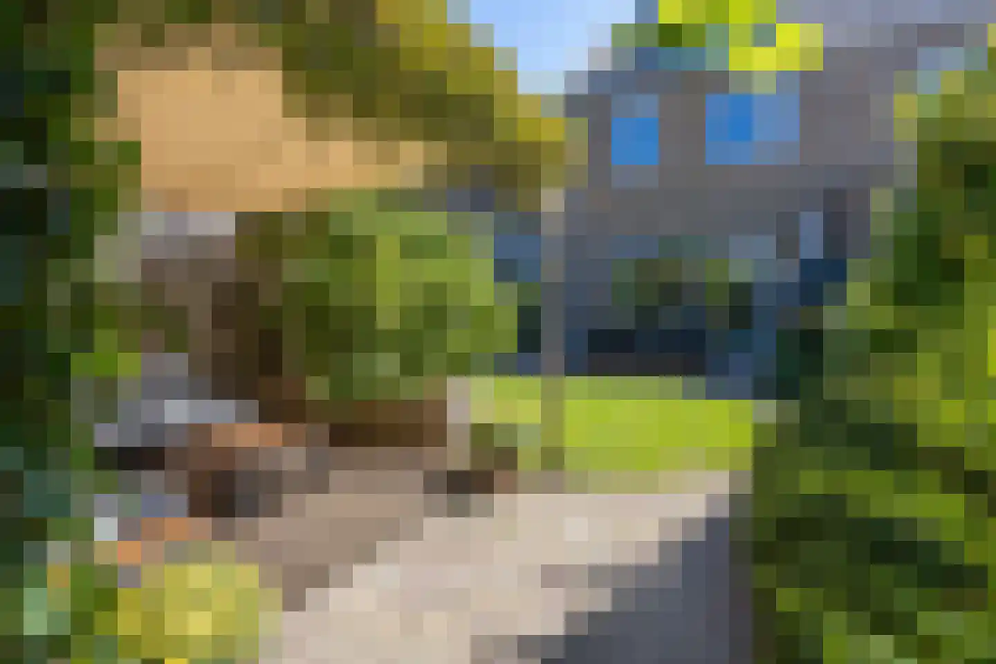 Gouwestraat 36 Berkel en Rodenrijs thumbnail 41
