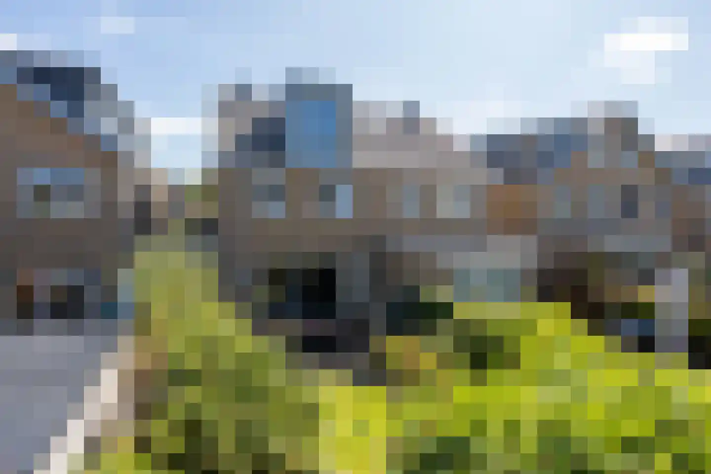 Gouwestraat 36 Berkel en Rodenrijs thumbnail 50
