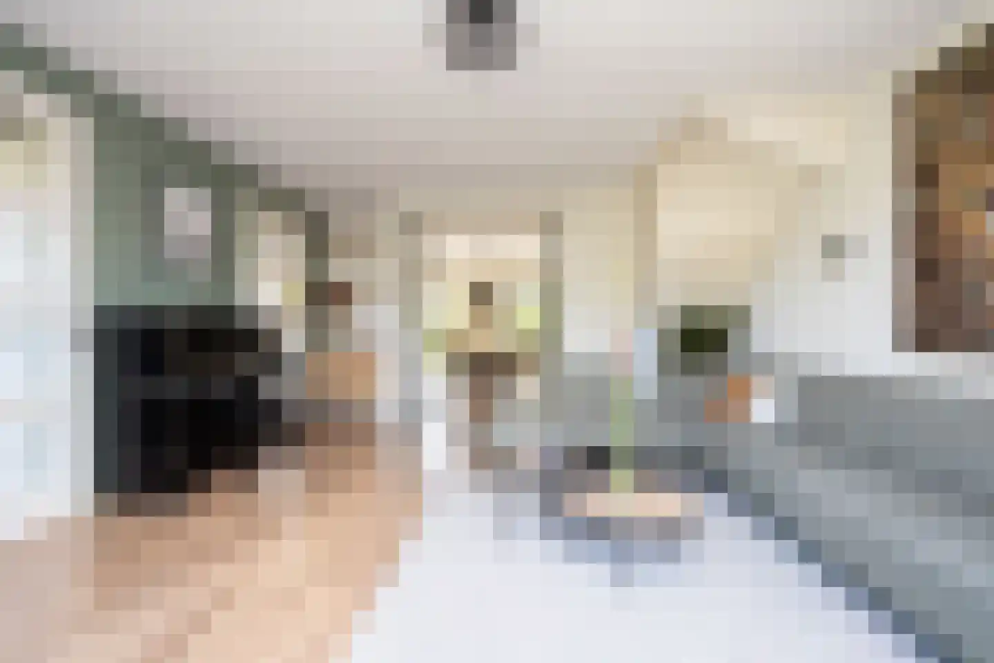 Gouwestraat 36 Berkel en Rodenrijs thumbnail 9