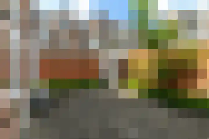 Gouwestraat 4 Den Haag thumbnail 4