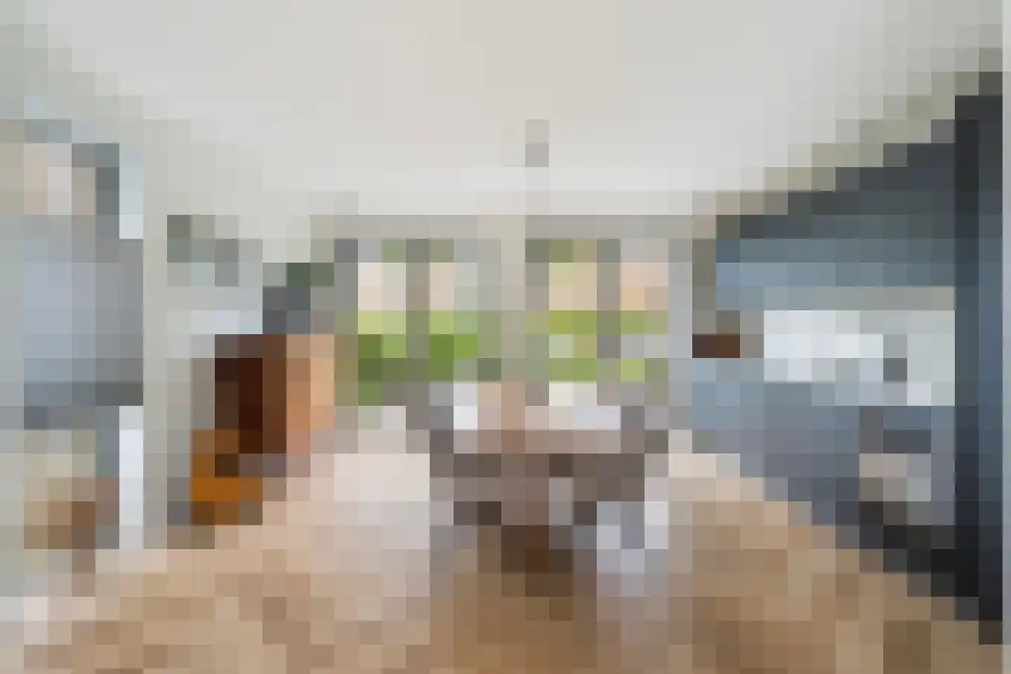 Gouwestraat 40 Berkel en Rodenrijs thumbnail 20