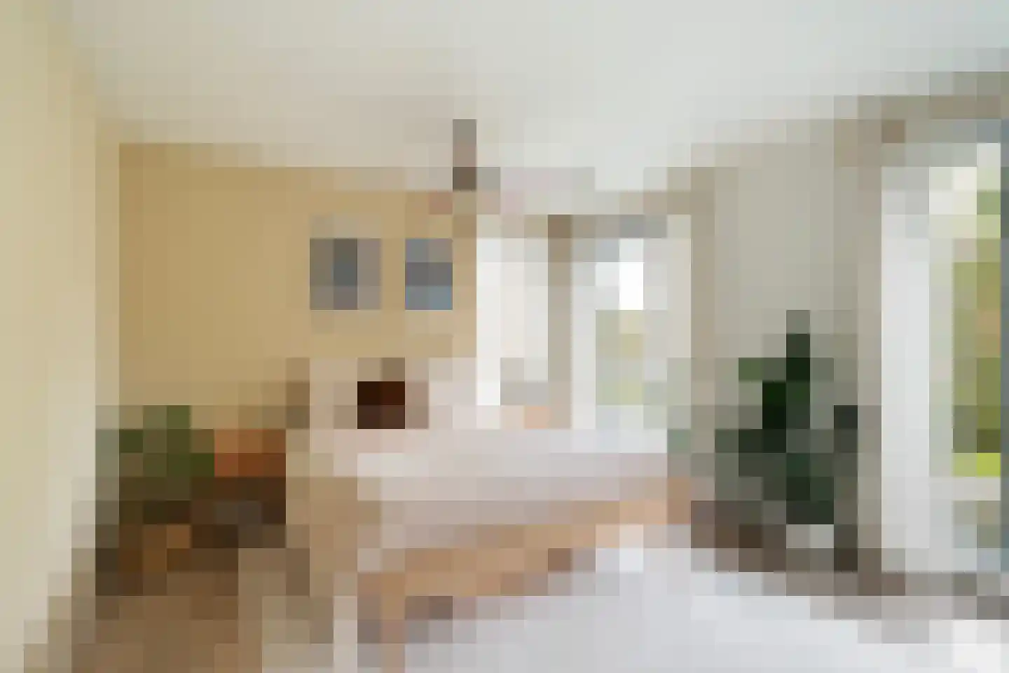 Gouwestraat 40 Berkel en Rodenrijs thumbnail 26