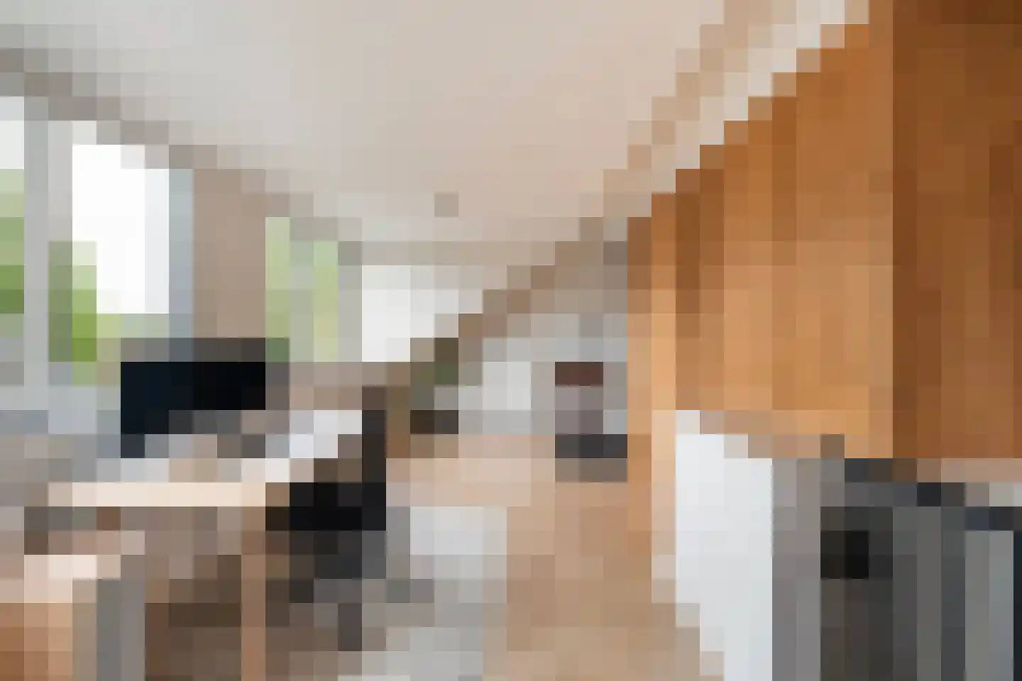 Gouwestraat 40 Berkel en Rodenrijs thumbnail 32