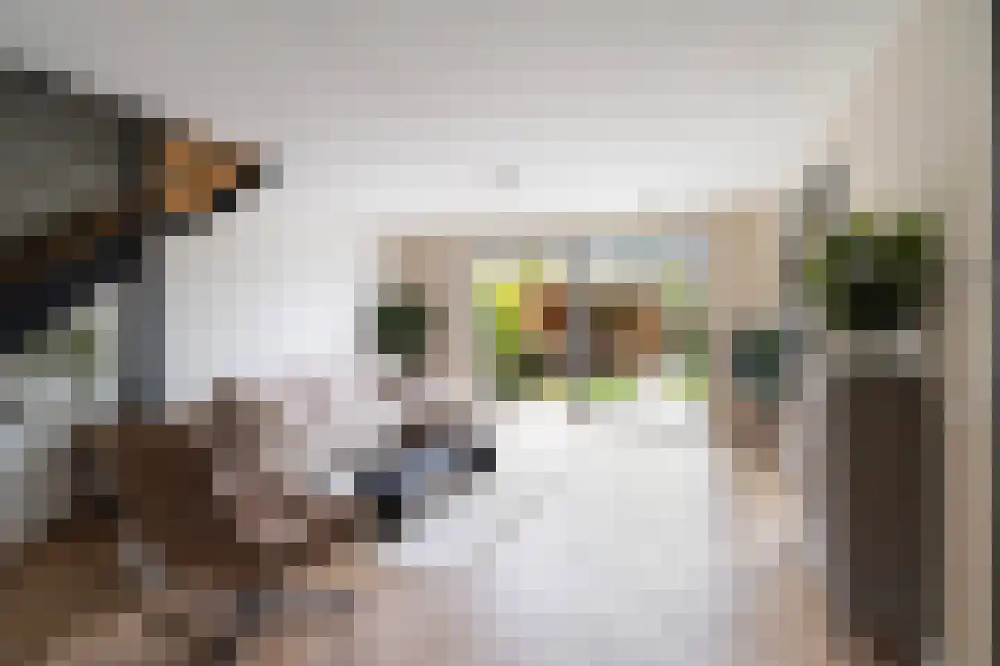 Gouwestraat 40 Berkel en Rodenrijs thumbnail 8