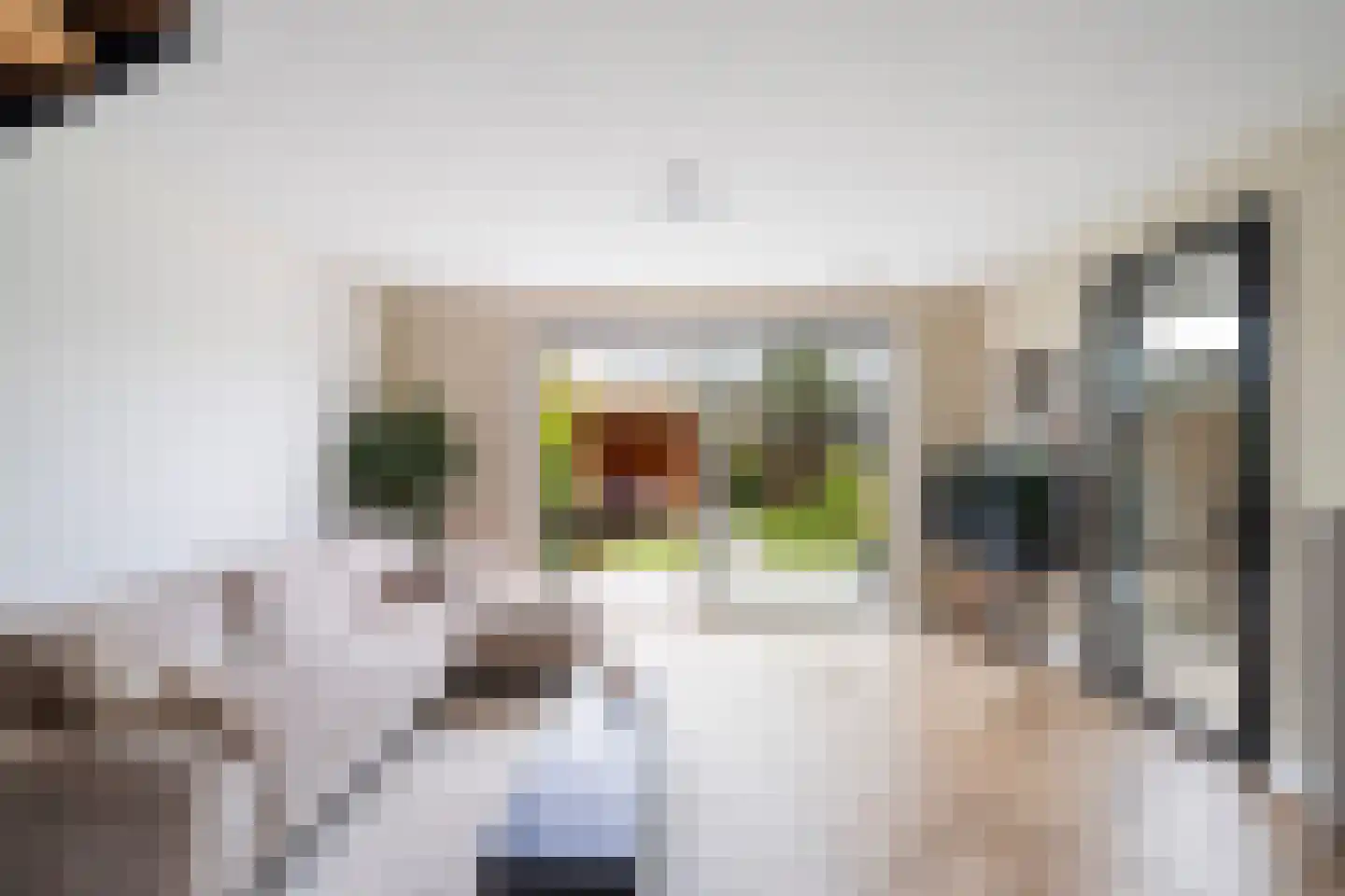 Gouwestraat 40 Berkel en Rodenrijs thumbnail 9