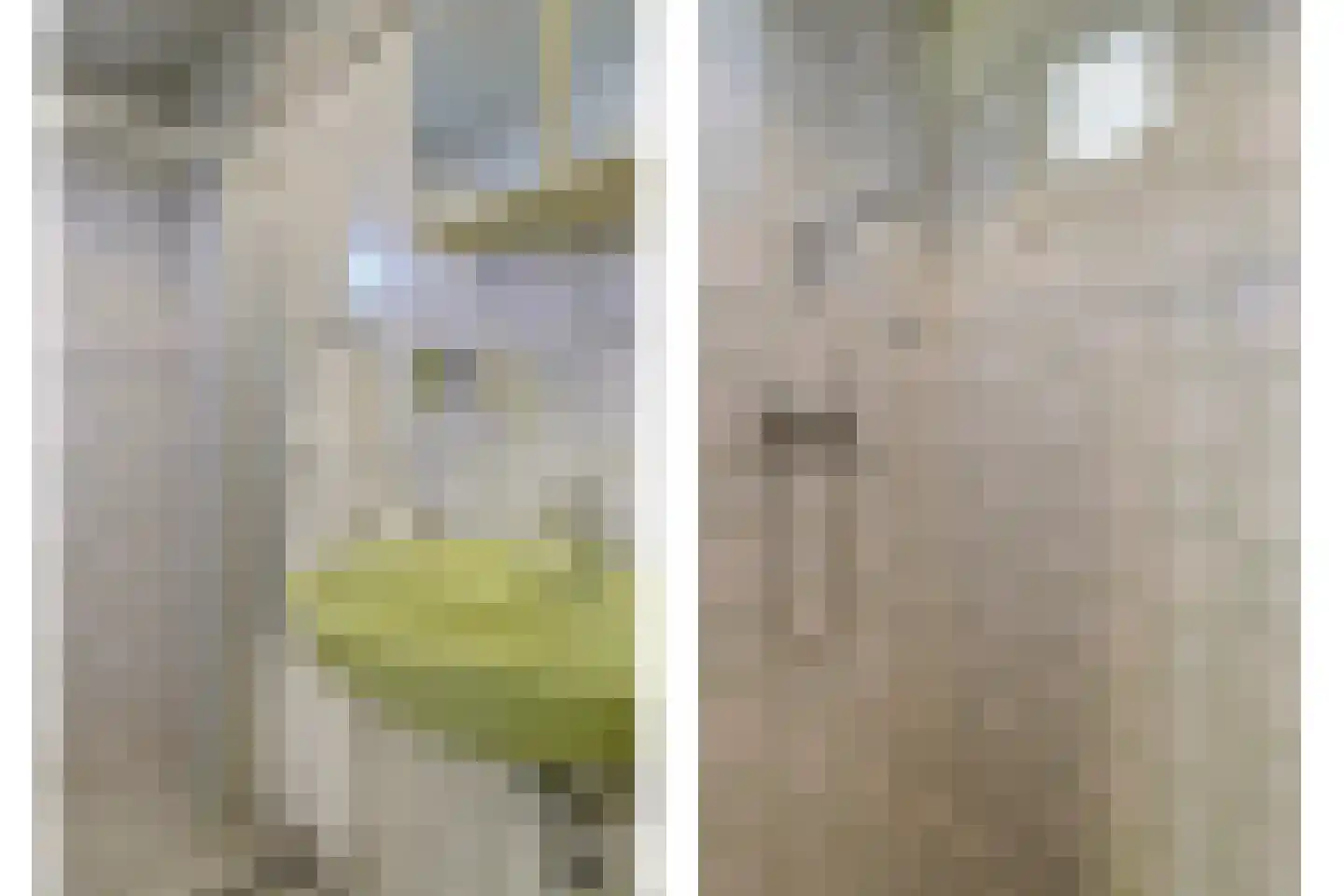 Gouwestraat 44 Ridderkerk thumbnail 41