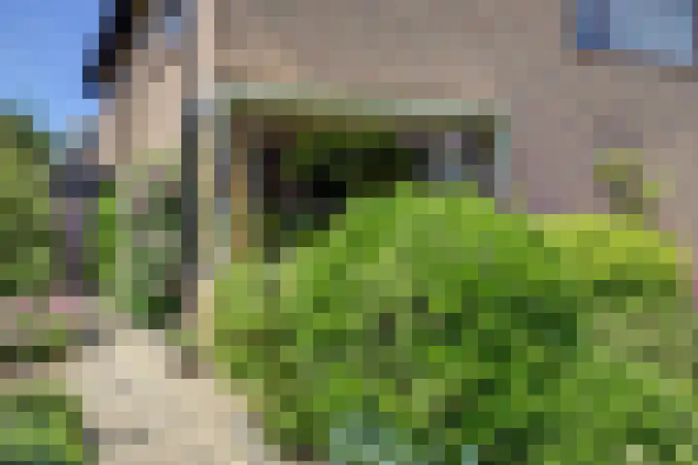 Gouwestraat 44 Ridderkerk thumbnail 7