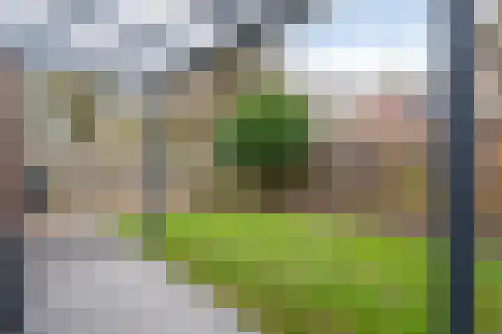 Gouwestraat 5 A Geleen thumbnail 14