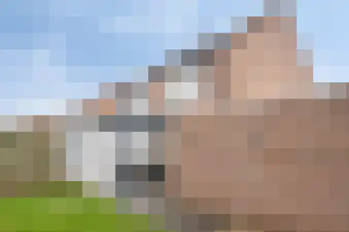 Gouwestraat 5 A Geleen thumbnail 16