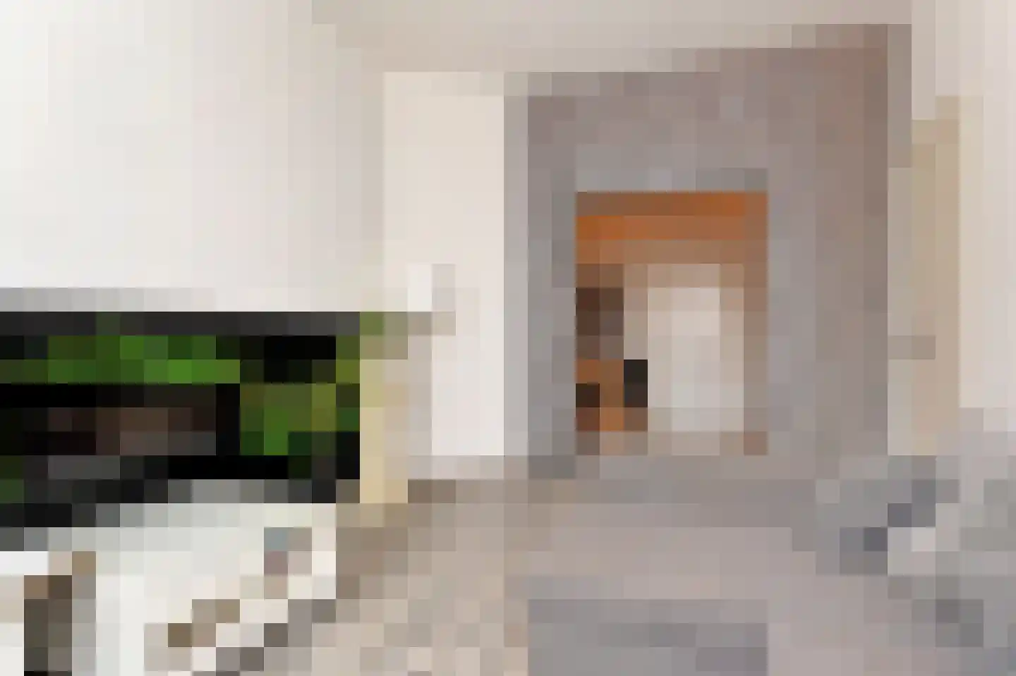 Gouwestraat 52 Den Haag thumbnail 8