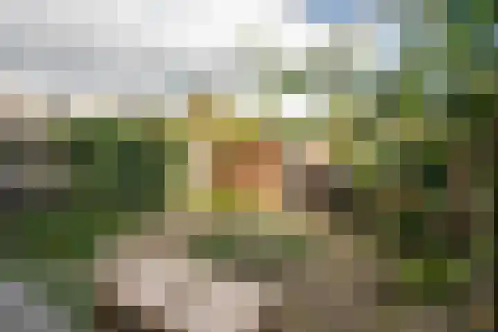Gouwestraat 7 Ridderkerk thumbnail 10
