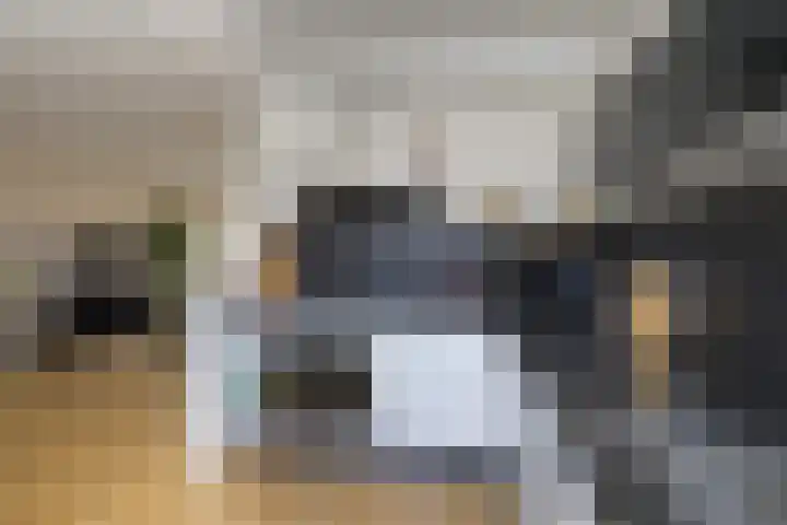 Gouwestraat 7 Ridderkerk thumbnail 12