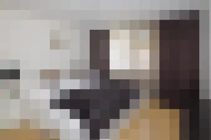 Gouwestraat 7 Ridderkerk thumbnail 14